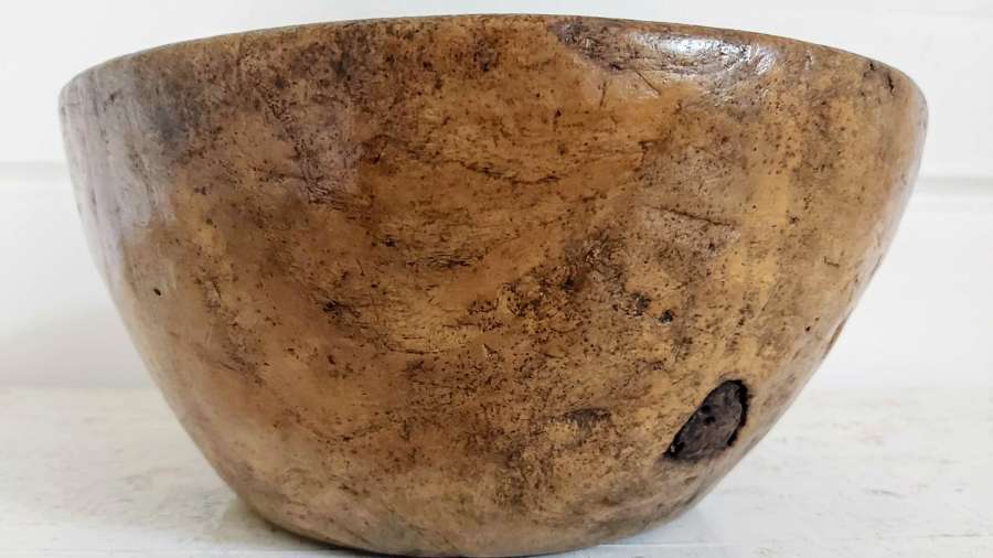 19th Century Rustic Sycamore Bowl