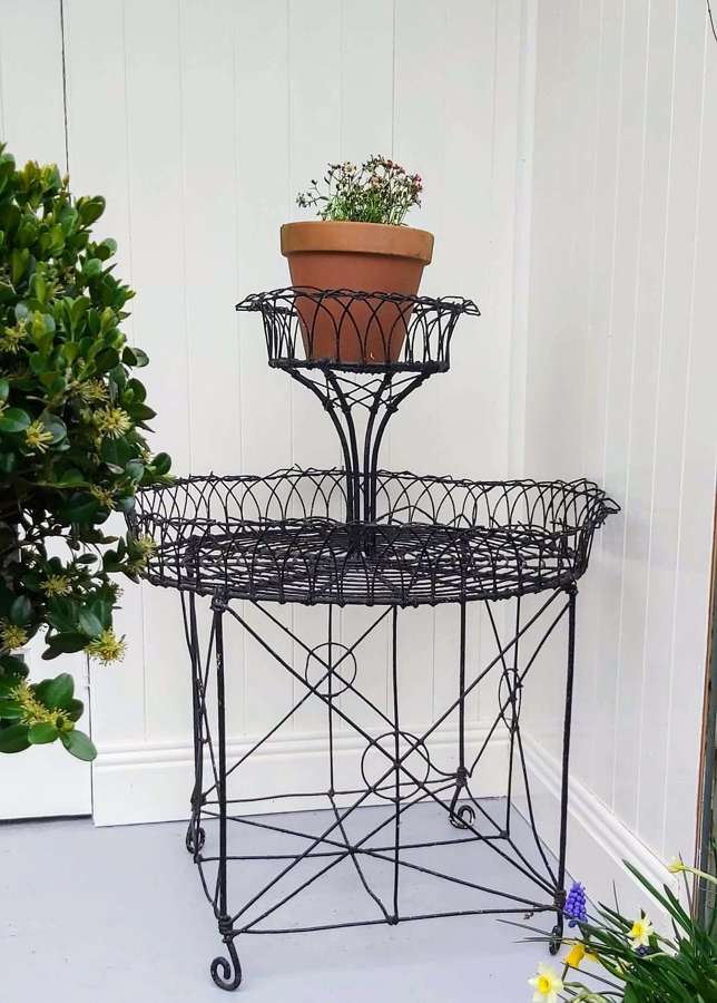 19th Century Circular Wirework Plant Stand