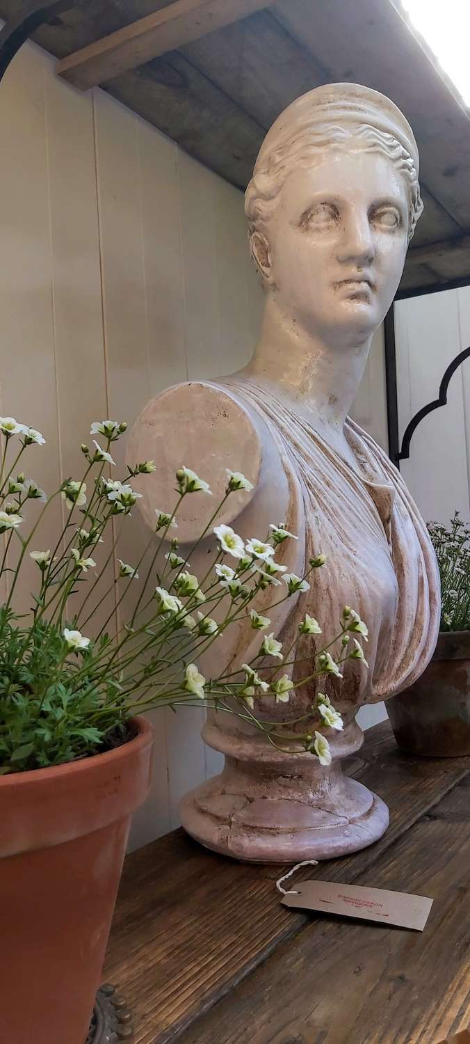 Diana the Huntress classical terracotta bust