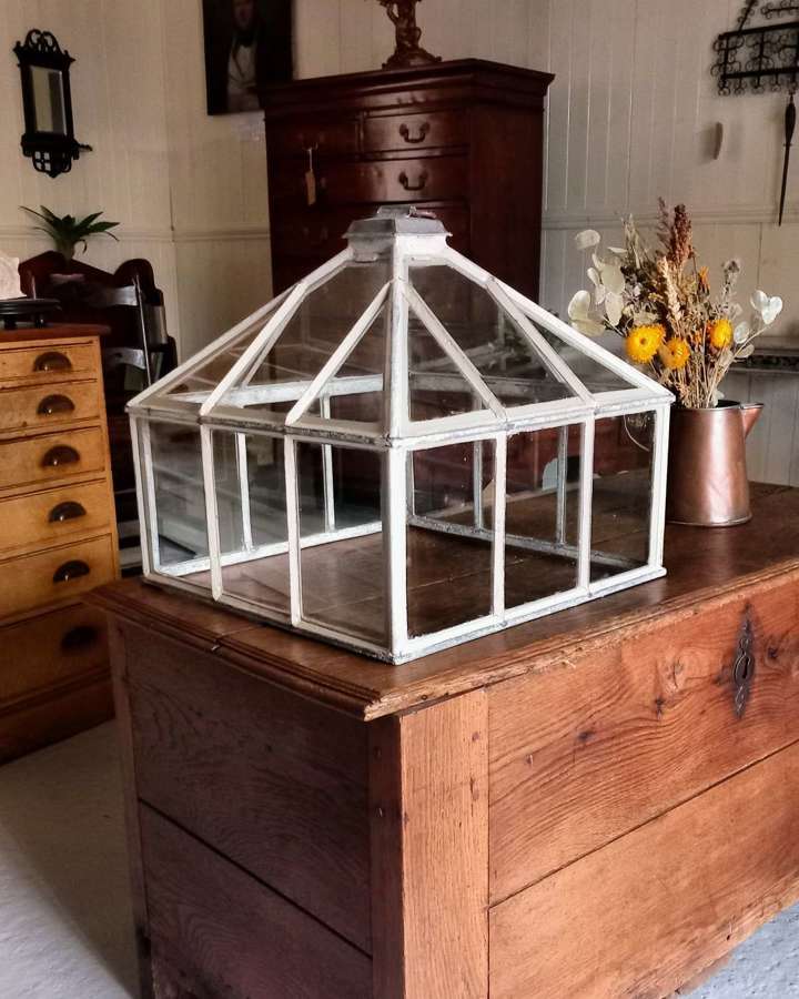 Victorian Zinc framed Garden Cloche