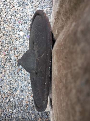 19th Century Sudanese Beja warrior Shield