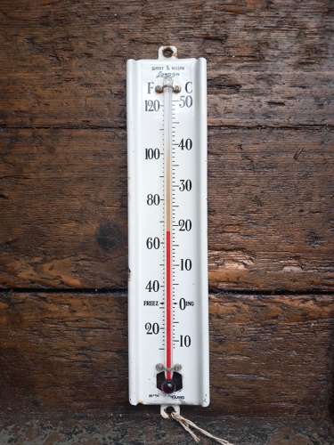 Early 20th Century Short&Mason Greenhouse Thermometer