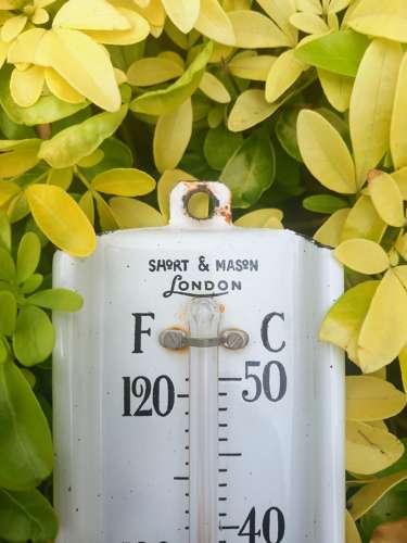 Early 20th Century Short&Mason Greenhouse Thermometer