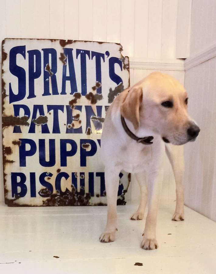 C1900 Original Spratts Patent Puppy Biscuits Enamel Advertising Sign