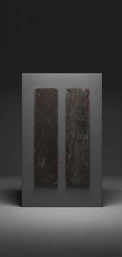 Early 20th century pair of patinated Brass door Fingerplates