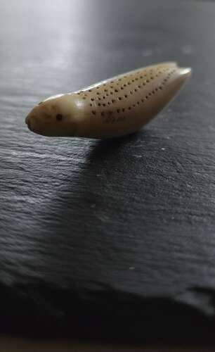 C1900 Inuit carved Walrus tusk Seal hunting amulet