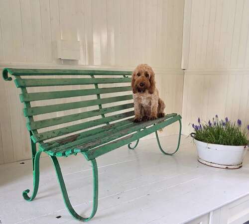 C1900 wrought iron and wooden slatted Garden Bench