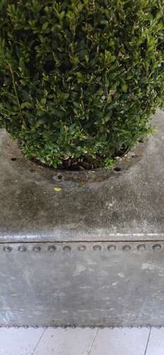 Mid 20th Century Riveted Galvanised Planter