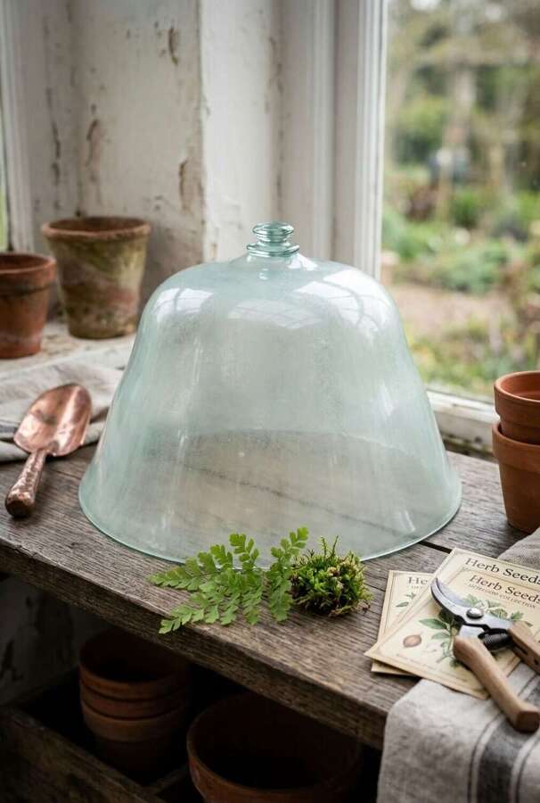 French 19th Century Glass Melon Cloche